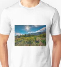 Sun ripened fruit Unisex T-Shirt