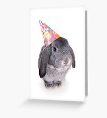 Birthday Rabbit Greeting Card