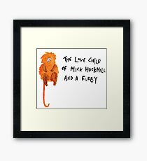 Golden Lion Tamarin Framed Print