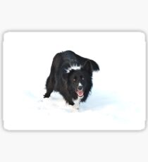 Snowdog Sticker