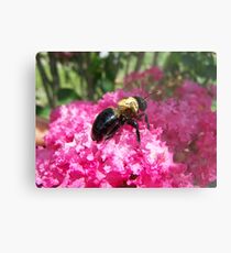 bumble bee Metal Print