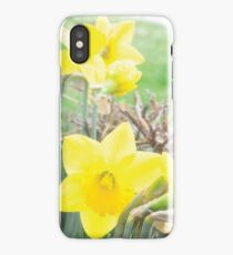 Daffodils iPhone Case/Skin