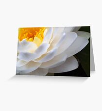 Gentle light II Greeting Card