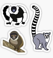 Lemurs - Mini Sticker Pack Sticker