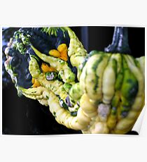 Gords of many colors Poster