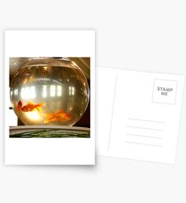 Goldfish Postcards