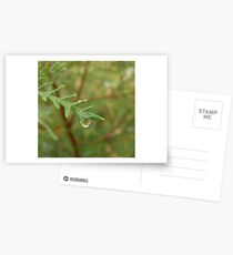 Drop Postcards