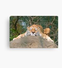 Totally chilled out! Canvas Print