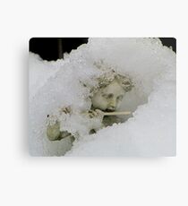 Still playing the flute Metal Print