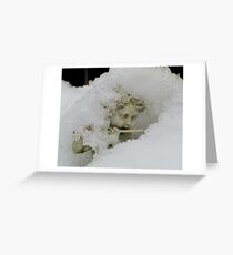 Still playing the flute Greeting Card