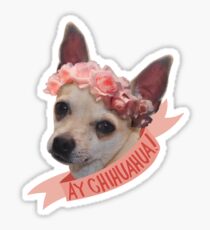 Ay chihuahua! Sticker