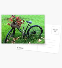 Bicycle Basket Postcards
