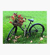 Bicycle Basket Photographic Print