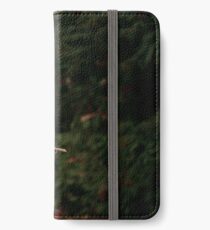 Scarecrow iPhone Wallet/Case/Skin