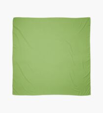 PANTONE 15-0343 Greenery Scarf