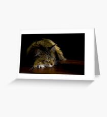 Sunbeam Greeting Card
