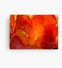 Phutaracsa 1 Canvas Print
