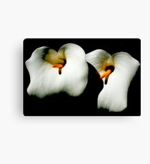 Out and Proud Canvas Print
