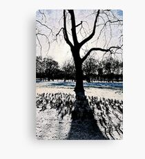 A Colder Tree Canvas Print