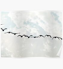 Flying in Formation Poster
