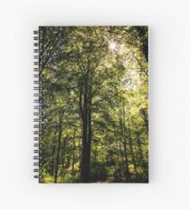 The Dark Woods Spiral Notebook