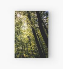 The Dark Woods Hardcover Journal