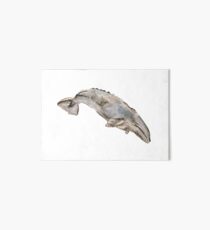 lonely whale Art Board