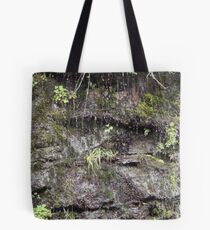 Scenic 4 Tote Bag