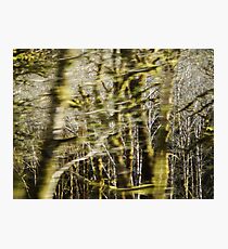 Abstract Photographic Print