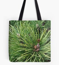 Trees Tote Bag