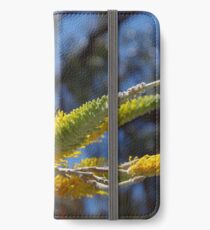 Flame Grevillea (Grevillea excelsior) iPhone Wallet/Case/Skin