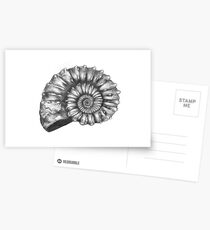 Untitled Postcards