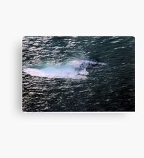 Translucent Canvas Print