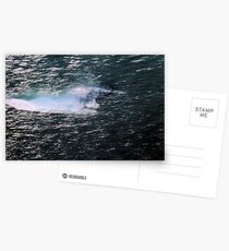 Translucent Postcards