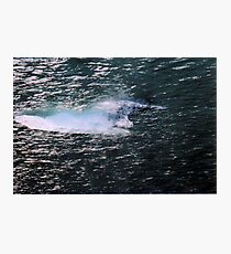 Translucent Photographic Print