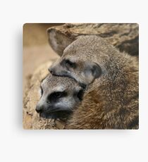 An Intimate Moment Metal Print