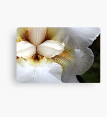 Sore flower bleeding Canvas Print
