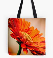Warm Summer Twilight Tote Bag