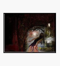 Out Of The Wood Photographic Print