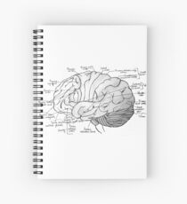 Cuaderno de espiral Cerebro etiquetado
