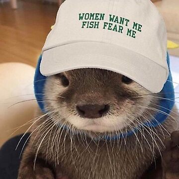 Women Want Me Fish Fear Me Otter | Sticker