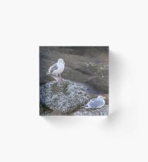 2 Seagulls Acrylic Block