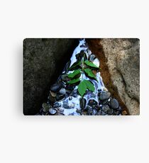 Left Canvas Print