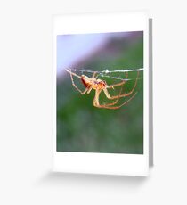 Creepy Crawly Greeting Card