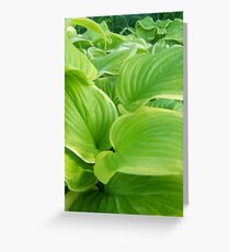 Vegetation Greeting Card