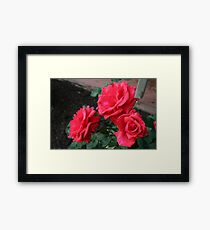 flowers Framed Print