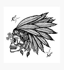 Indian skull Photographic Print