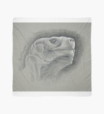 Galapagos-Schildkröte Tuch