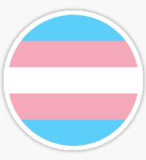 Trans Pride Flag Circle Sticker