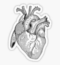 Study of the Heart Sticker